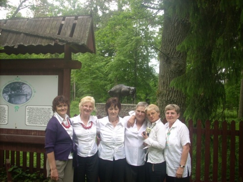 zdjęcie do artykułu