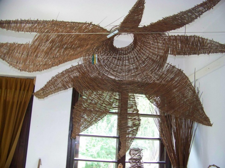 zdjęcie do artykułu