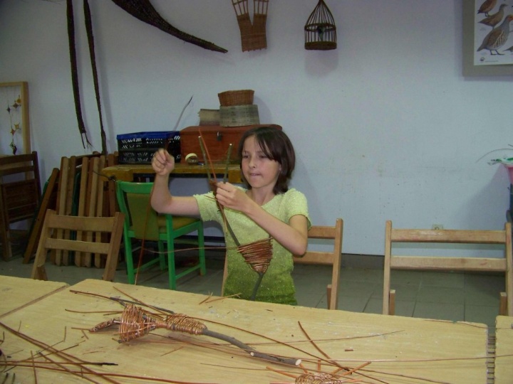 zdjęcie do artykułu