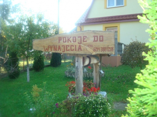 Zdjecie nr 10