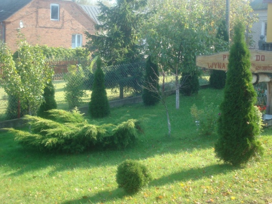 Zdjecie nr 38