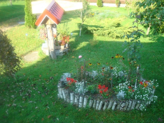 Zdjecie nr 32