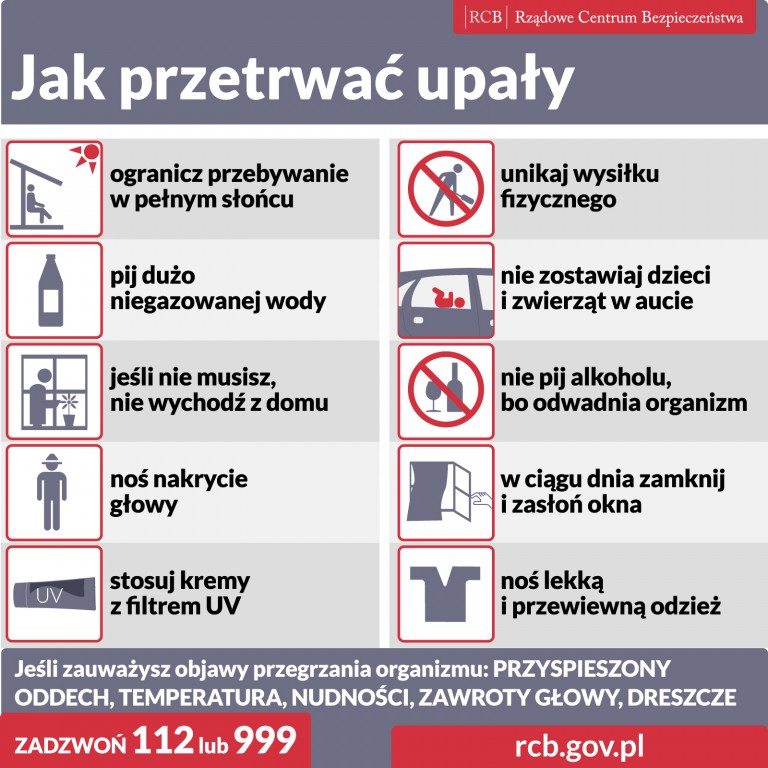 zdjecie główne