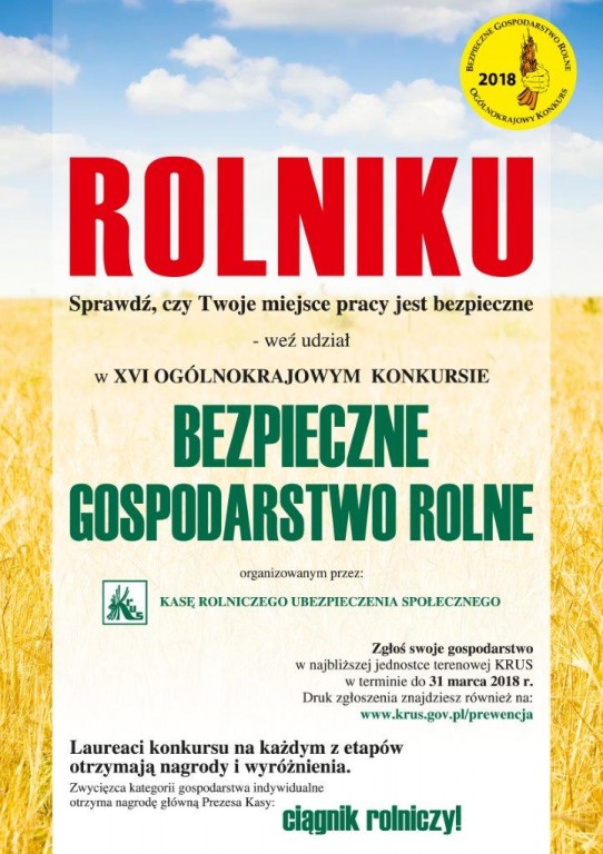 zdjecie główne