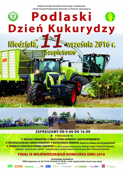 zdjecie główne