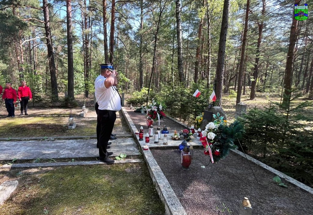 zdjęcie do artykułu
