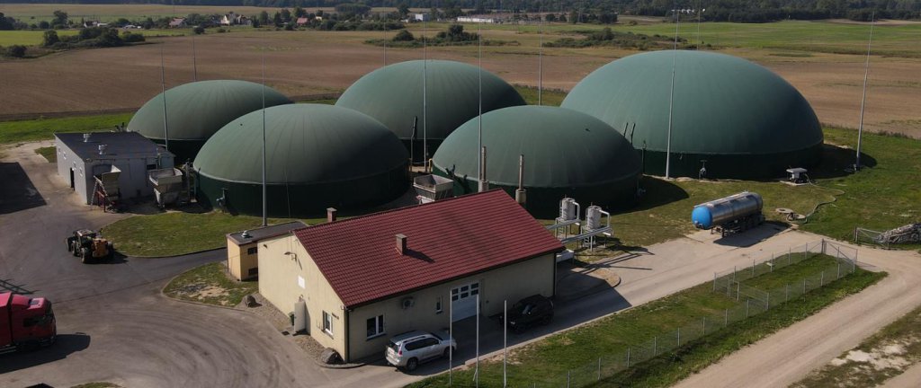 zdjecie główne