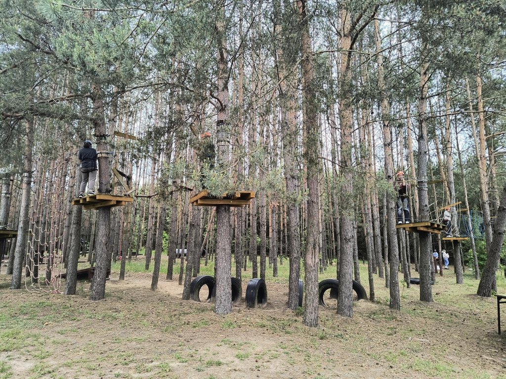 zdjęcie do artykułu
