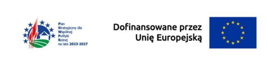 zdjęcie do artykułu