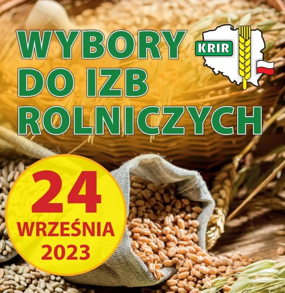 zdjecie główne