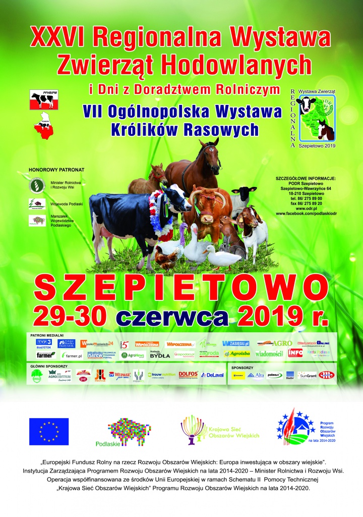 zdjecie główne