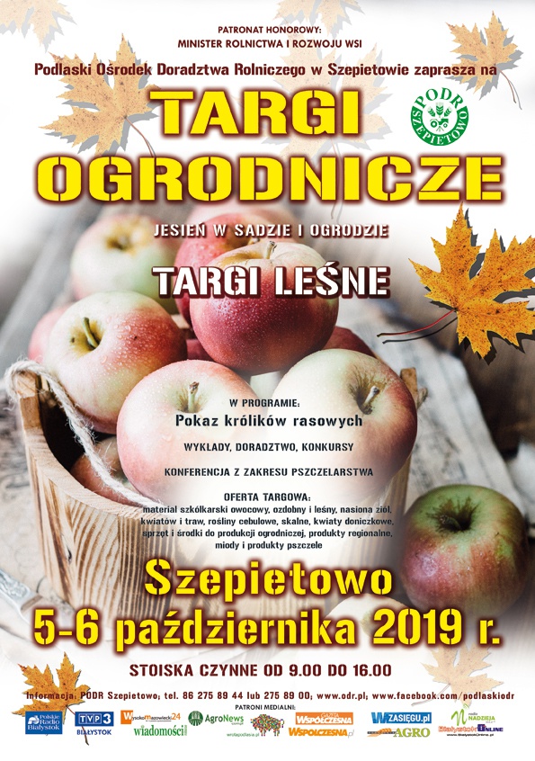 zdjecie główne