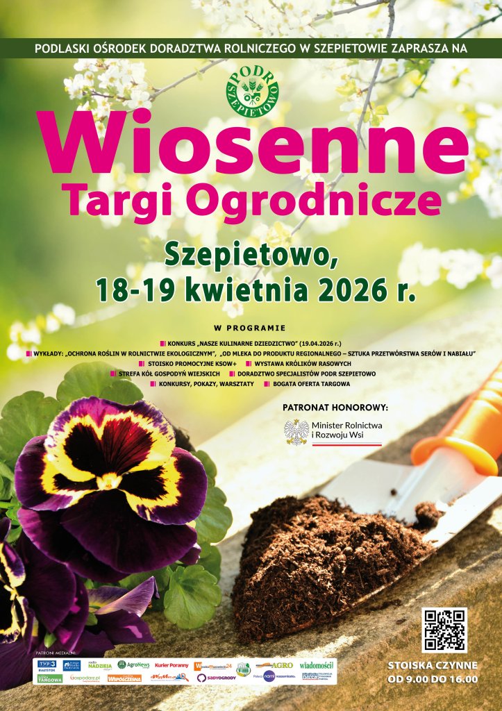 zdjęcie do artykułu