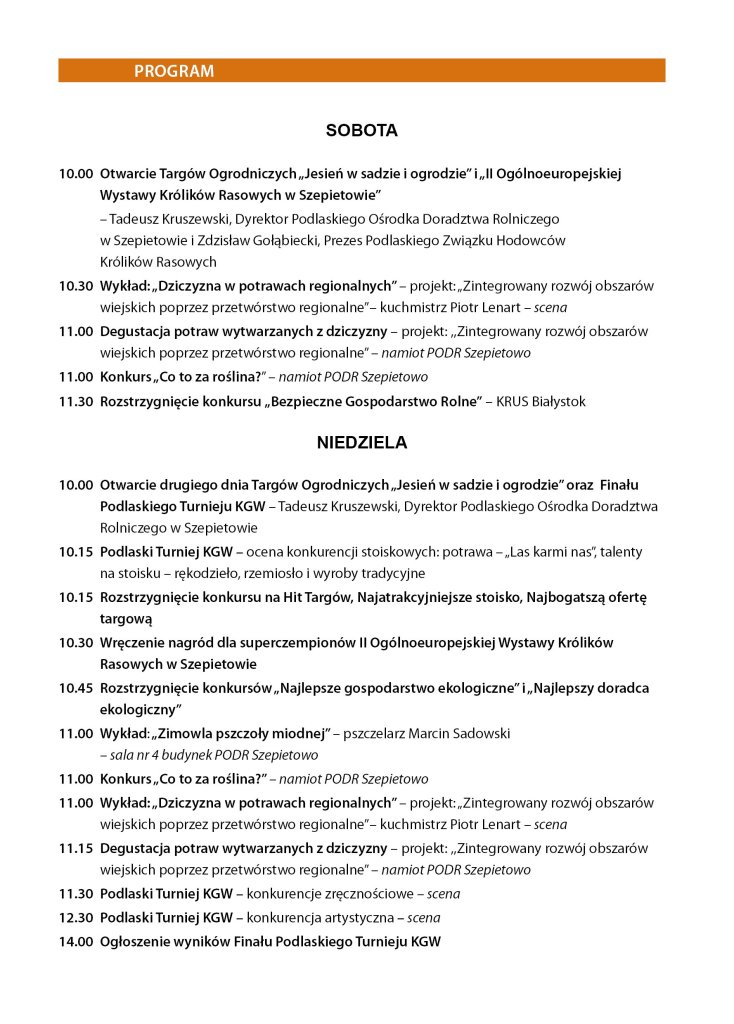 zdjęcie do artykułu