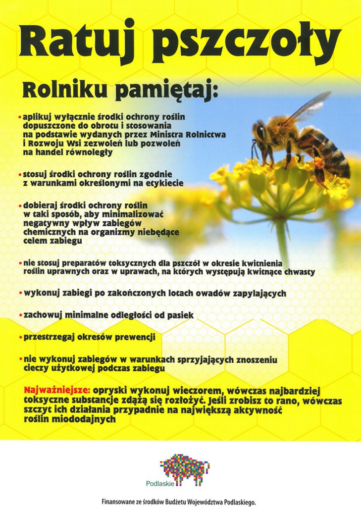zdjecie główne