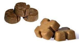 zdjęcie do artykułu