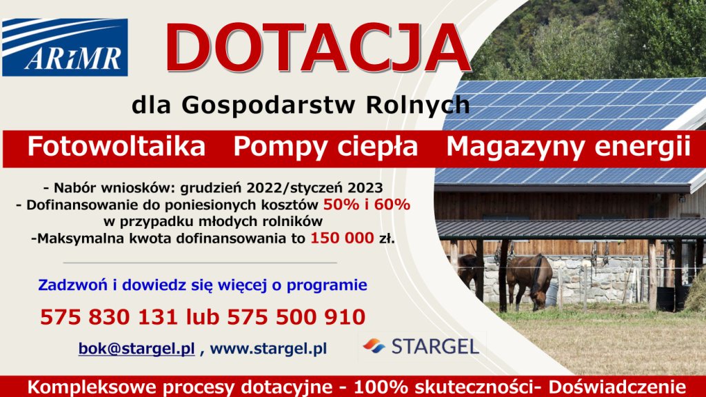 zdjecie główne