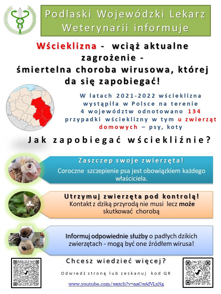 zdjecie główne