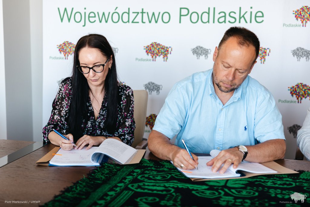 zdjęcie do artykułu