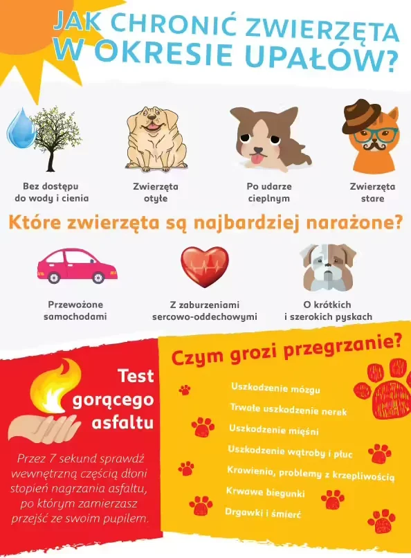 zdjęcie do artykułu