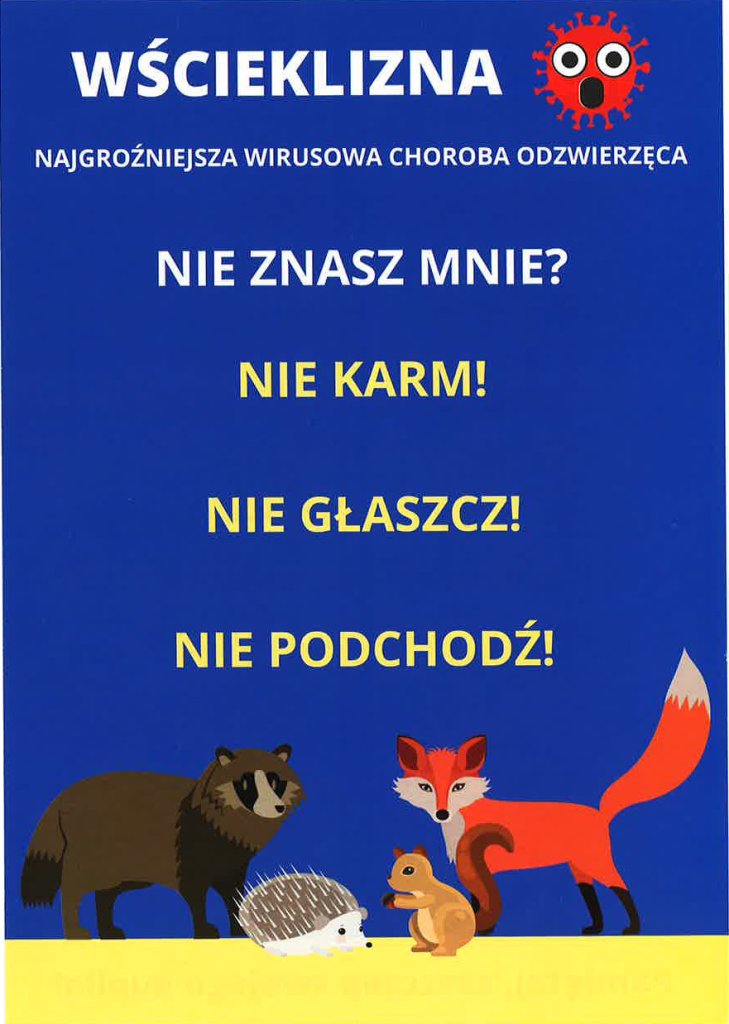 zdjecie główne