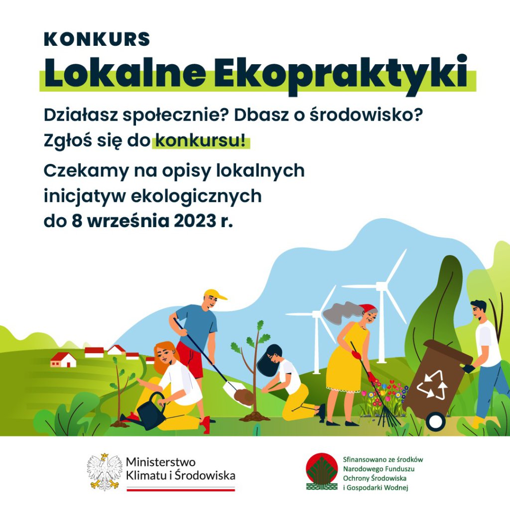 zdjecie główne