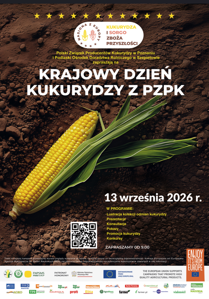 zdjęcie do artykułu